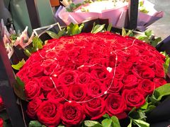 -大自然花鸟鱼虫市场