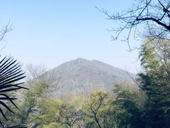 -紫金山山顶公园