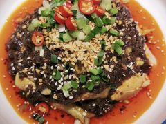 -雲蜀龙阁·金牌水煮鱼(方庄店)