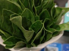 -南门四季铜锅涮肉(大屯·北苑店)