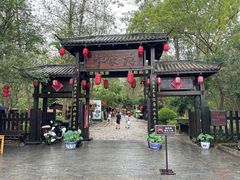 -合肥滨湖国家森林公园