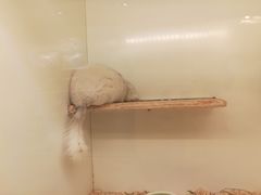 -龙猫仔乐园(惠福东路店)