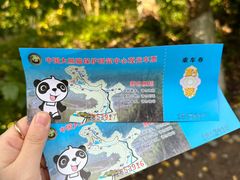 -都江堰中华大熊猫苑