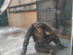 -石家庄市动物园