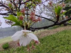 -浙江农林大学(东湖校区)