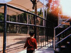 -泉州海丝野生动物世界