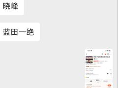 -晓峰手工擀面皮(新民街总店)