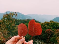 -周口店坡峰岭风景区