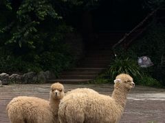 -昆明青龙峡风景区