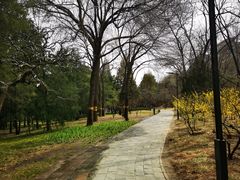 -元大都城垣遗址公园