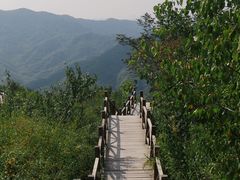 -大岭沟猕猴桃谷风景区