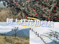 -石棉县孟获城