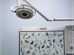 -纳吉亚猫专科动物医院博雅分院