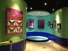 -上海昆虫博物馆