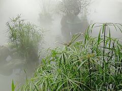 -青瓦房古村落