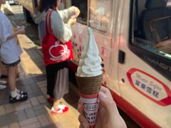 -富豪雪糕车流动点(尖沙咀店)