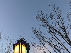 -迎泽公园