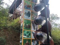 -欢乐松鼠谷