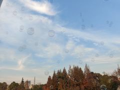 -宁波儿童公园(鄞州区)