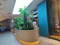 -悦海·家宴·冰花皮皮虾大锅贴(宝龙店)