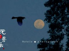 -南国桃园旅游度假区