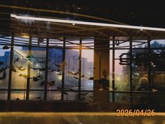 -海底捞火锅(新松江路生日主题店)