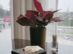 -群生记 群生驴肉 火烧(朝阳站店)