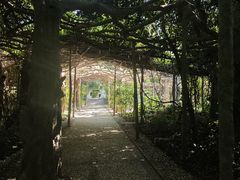 -广西壮族自治区药用植物园