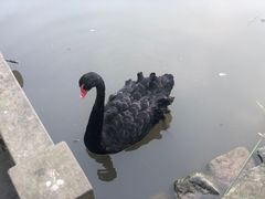 -张坝桂圆林公园