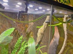 -酷嗒动物文化乐园(cutezoo西溪乐天城店)