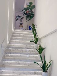 -海涛医疗美容·面部抗衰·注射美鼻