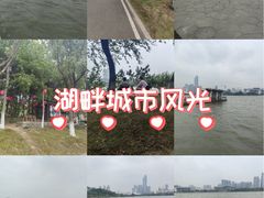 -月湖风景区