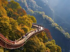 -少华山国家森林公园