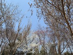 -辽宁大学(崇山校区)