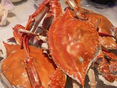 -渔民船说·北塘海鲜·天津菜·海肠捞饭(北塘古镇店)