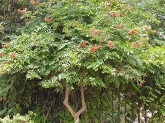 -西安汉城湖景区