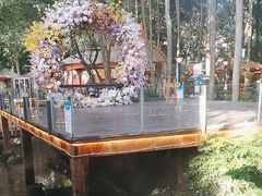 -二荆条·蜀鲜汇城市森林火锅