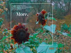 -花开海上生态园