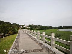 -沙美村