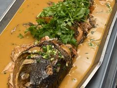 炖水库胖头鱼-食家鸽园