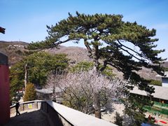 -妙峰山风景名胜区