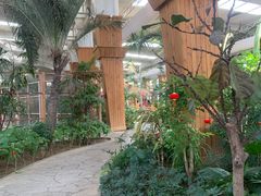 -南宫五洲植物乐园