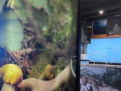 -云海肴·汽锅鸡·云南代表菜(天山百盛优客店)