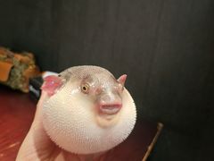 -永安鱼庄·镇江菜(东吴路店)