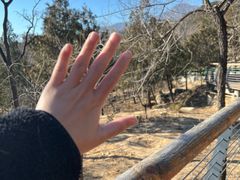 -白水寺森林公园