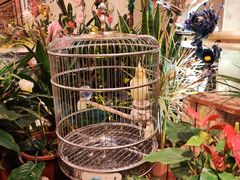 -怡咖啡·自助餐·西安香格里拉