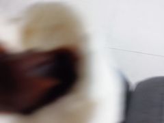 -包道广式点心专门店(环市西苑店)