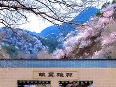 -居庸关长城