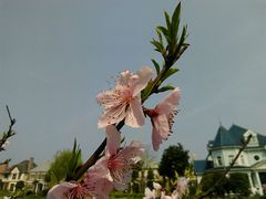 android_upload_pic-阳澄湖费尔蒙酒店
