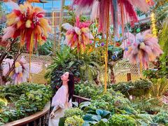 -正佳雨林生态植物园